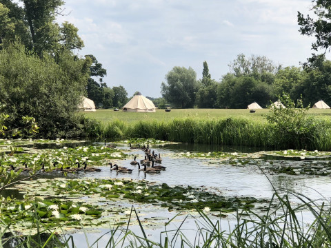 1540463815BsWFON-img-1737jpgjpg