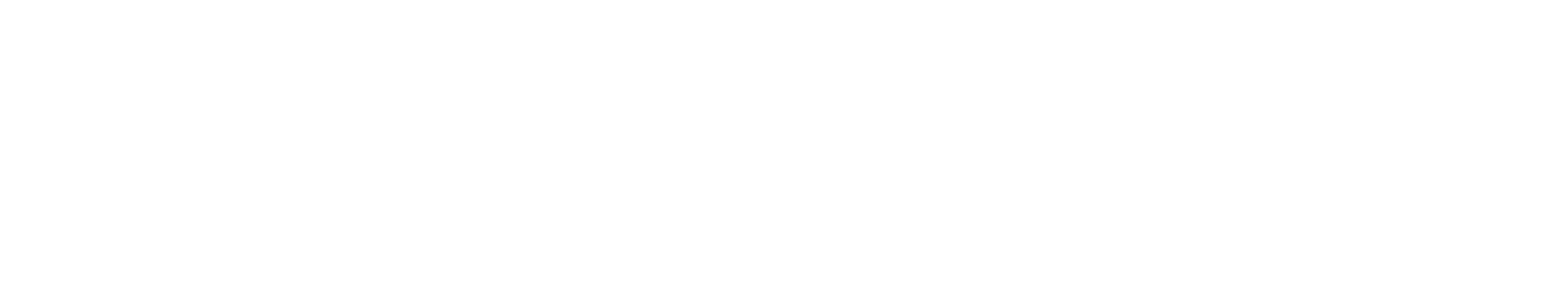 Brightsparks-White-Horizontal (1)